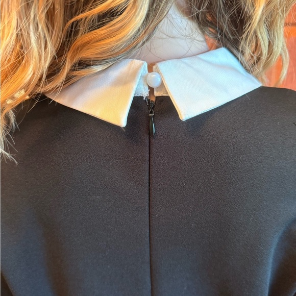 NWT Betsey Johnson Leopard Tie Front Fit & Flare Black Dress White Collar Sz 12 - Picture 6 of 16